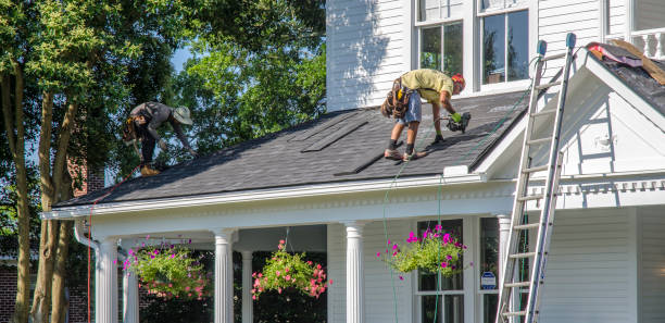 Best Flat Roof Repair Services  in Sioux Center, IA
